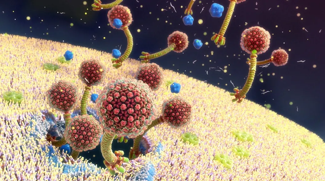 
                                                                                            Bacterial Infections: The Invisible Threat and Defense Mechanisms
                                            