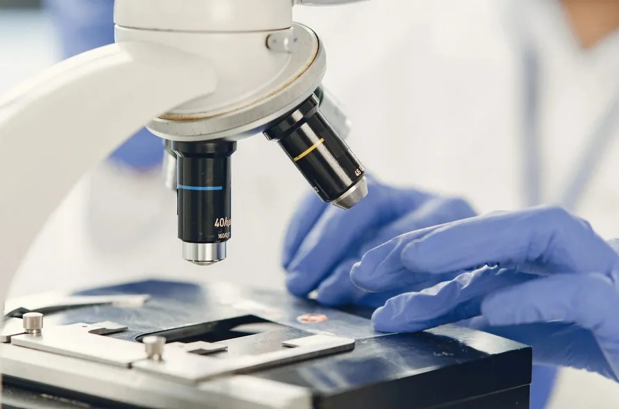 
                                                                                            What is a Biopsy and How is it Performed?
                                            