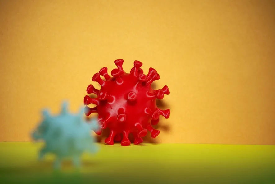
                                                                                            H5N1 Virus: The Threat from Birds to Humans
                                            