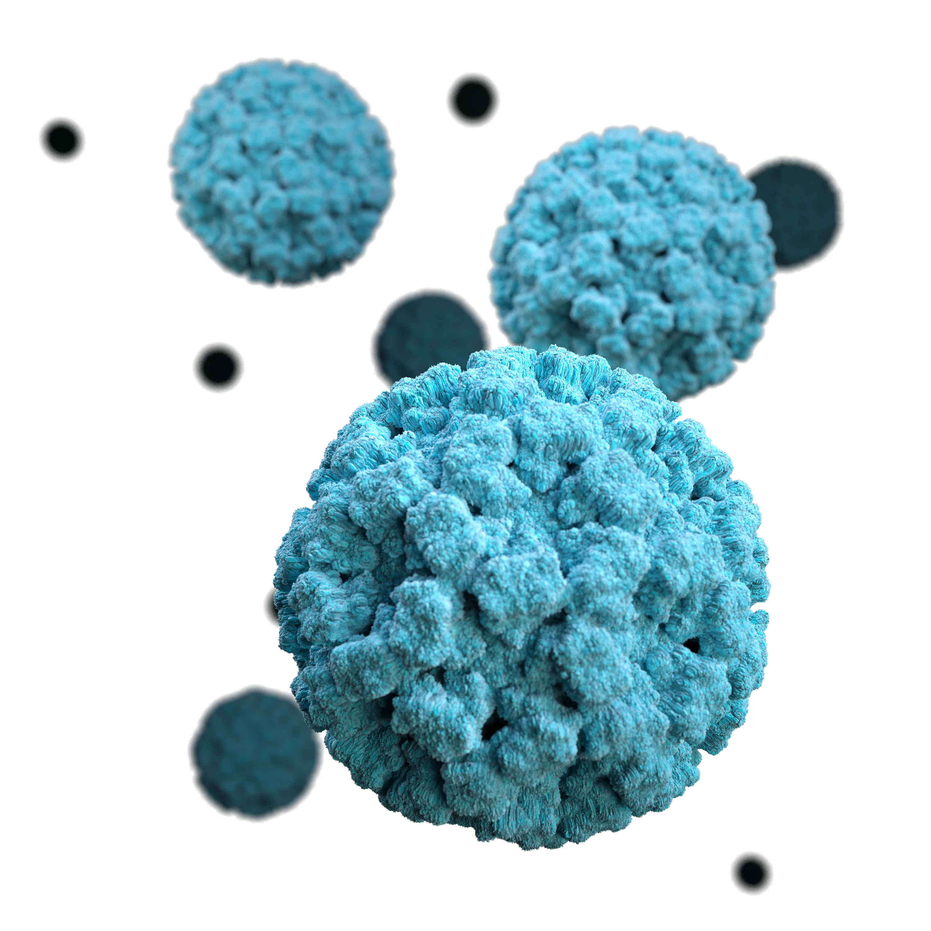 
                                                                                            What is Norovirus?
                                            
